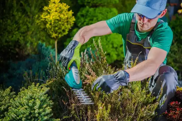 landscaping services Bude